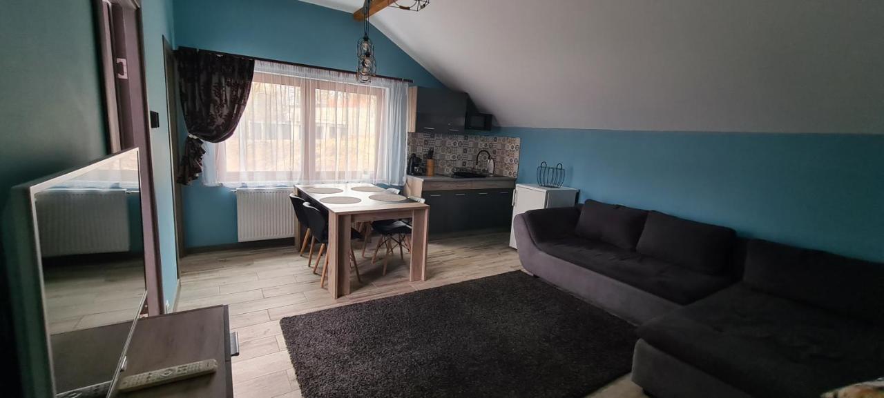Comfort Home Apartment 3 Петрошани Экстерьер фото