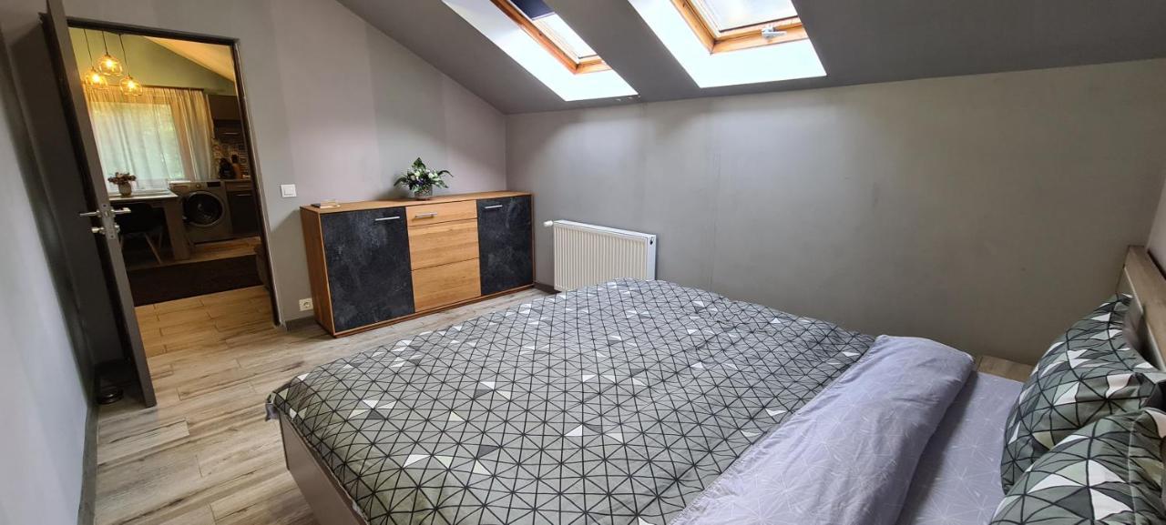Comfort Home Apartment 3 Петрошани Экстерьер фото