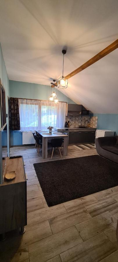 Comfort Home Apartment 3 Петрошани Экстерьер фото